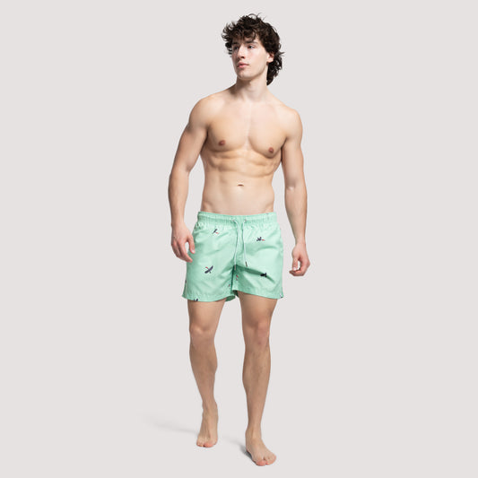 DESERT - Green