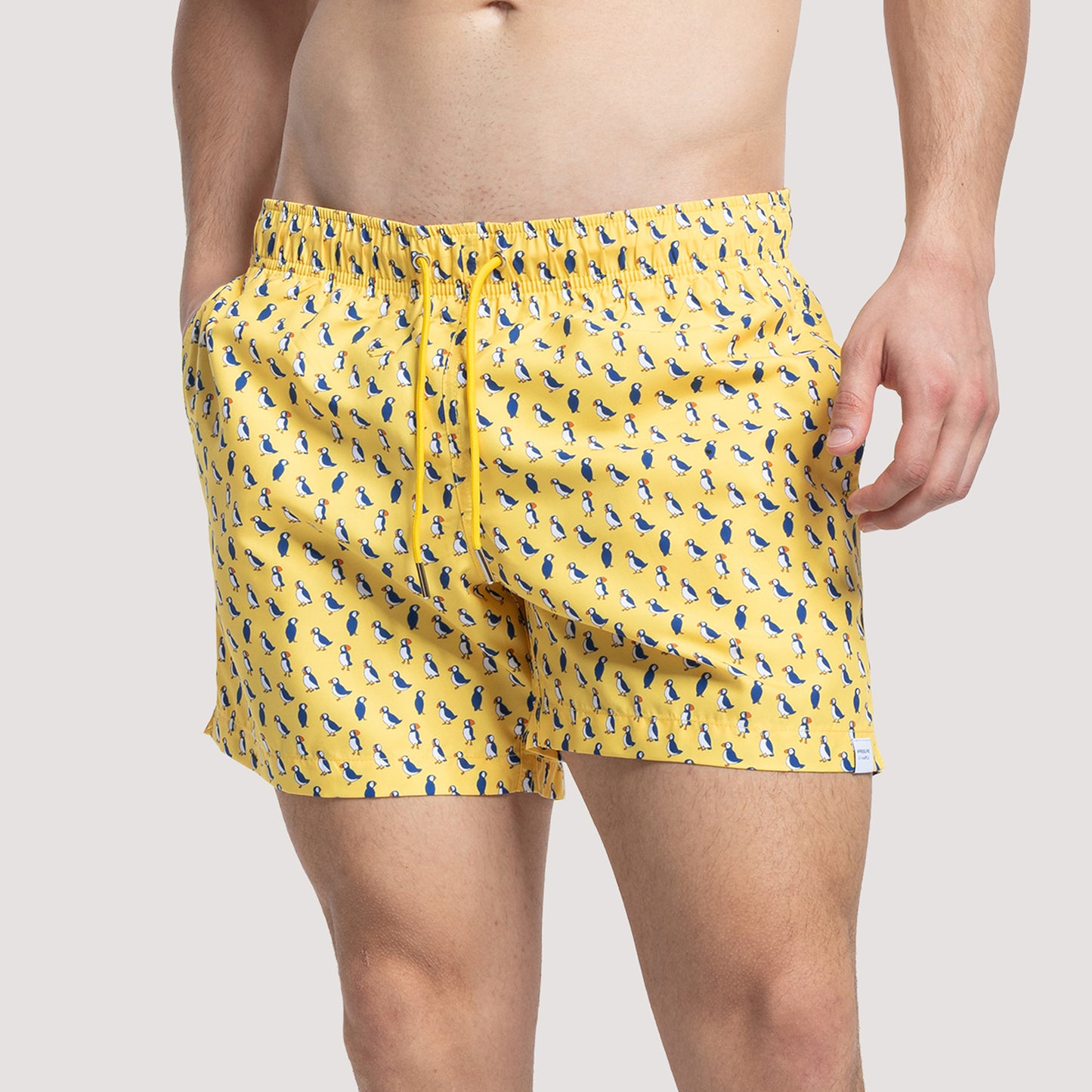 PUFFINS - Yellow