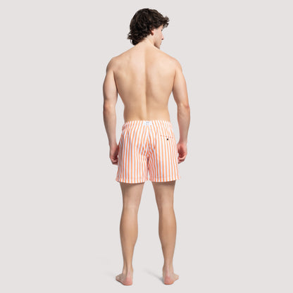 STRIPE