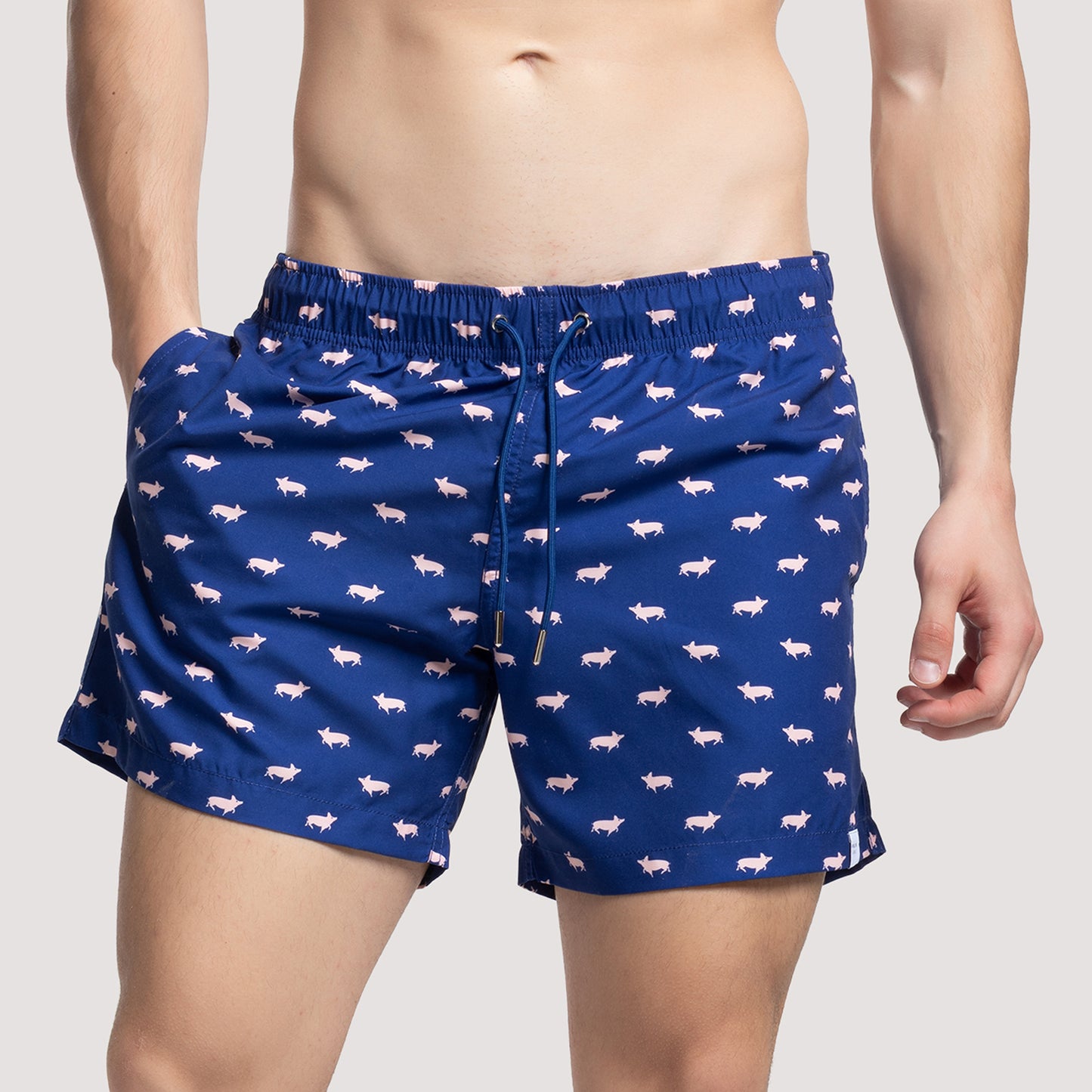 PIGS - Navy