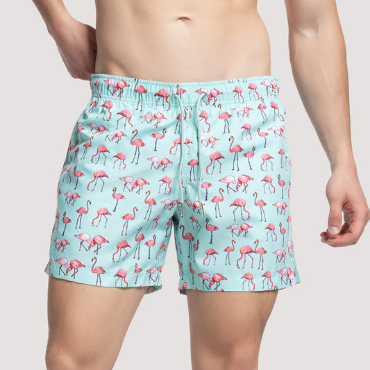 FLAMINGOS - Green
