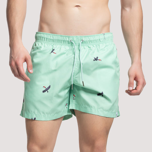 DESERT - Green