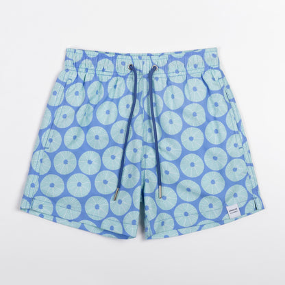 KIDS SWIM SHORTS KIDS URCHIN in color BLUE - Front shot
